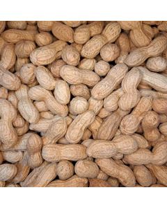 Erdnüsse in der Schale 10kg